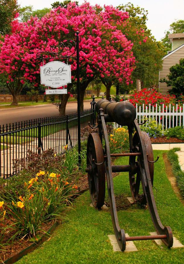Rising Sun Bed And Breakfast Natchez Exterior foto